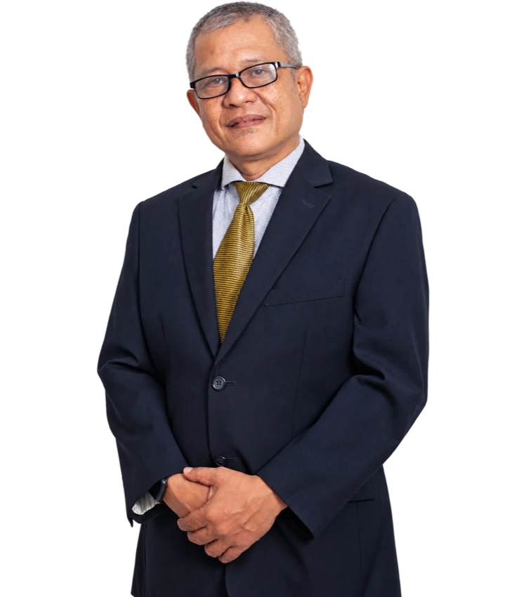 Mesa Indra Naiborhu, Managing Partner Bariga Law Firm